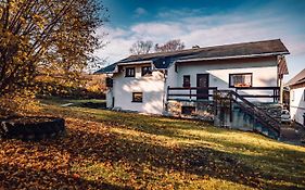 Ferienhaus Markersbach ERZ 1061